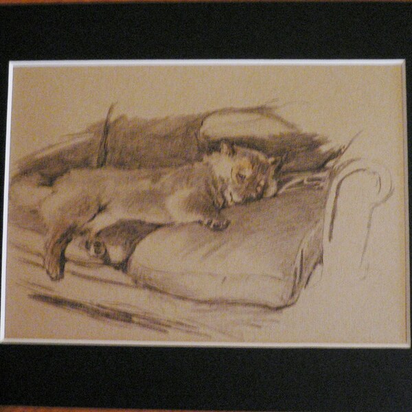 Dog Relaxing On Sofa Etsy