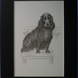 1949 COCKER SPANIEL dog Vintage original C Francis Wardle bookplate dog print Unique rare Christmas Thanksgiving dog lover gift