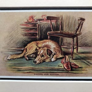 Photo de carte postale vintage Lucy Dawson Mac, chien de berger COLLIE, en attente du maître Noël anniversaire Thanksgiving no 2321