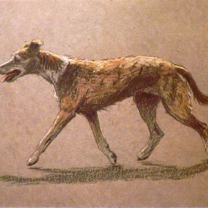 WHIPPET LURCHER DOG Signed mounted 1928 Cecil Aldin racing dog plate print Christmas gift Thanksgiving present Unique present Racer dog gift