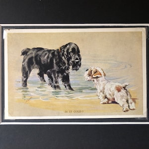 Carte postale COCKER SPANIEL Mabel Gear vintage 3889 carte postale Saint-Valentin « Est-ce qu'il fait froid » Noël anniversaire Thanksgiving article de collection