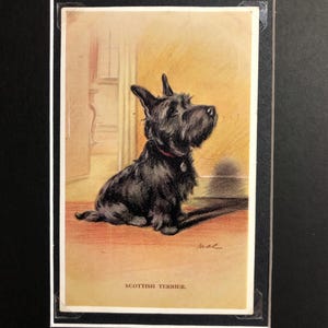 LUCY DAWSON MAC, terrier écossais des années 30