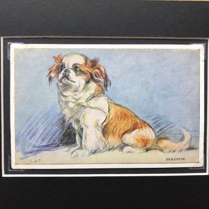 1930s LUCY DAWSON MAC  Pekingese dog Pekinese Vintage Valentines series post card mounted picture gift No.965 Christmas Birthday