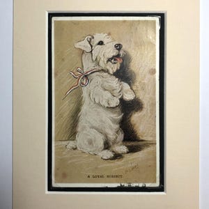 VALENTINE TAILWAGGER Postal vintage de Lucy Dawson Mac n.º 3710 con imagen de SEALYHAM Terrier Un súbdito leal, un mendigo campeón Regalo de cumpleaños