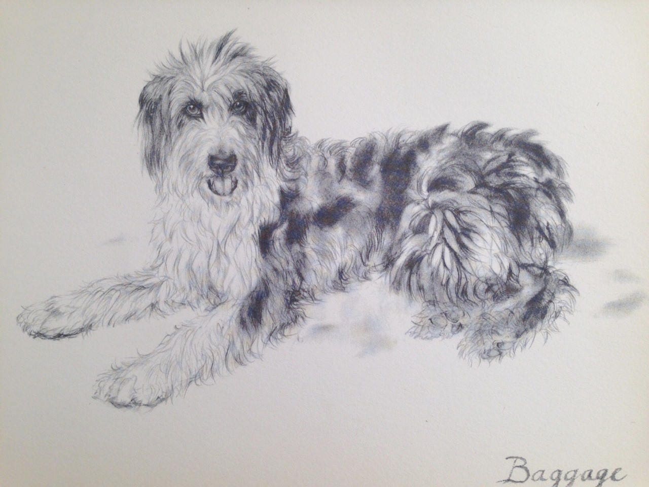 【ドイツ GRISLY社 犬】ヴィンテージ ドイツ GRISLY社 犬】ヴィンテージ