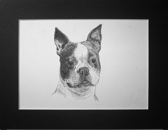 original terrier dog