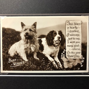 Cartão postal vintage CAIRN e SPANIEL dos anos 1930 montado na série W.B.L Academy London Real Photograph presente No.4710/3 Natal Aniversário