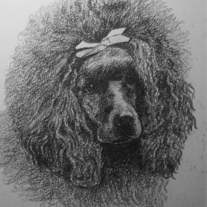 1935 POODLE C Francis Wardle Oryginalny zabytkowy ekslibris z nadrukiem psa Niepowtarzalny prezent na Boże Narodzenie, urodziny, rocznicę Święta Dziękczynienia