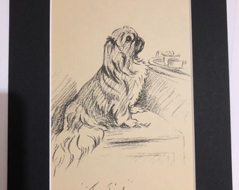 Vintage Pekingese 1936 Dog Print: Lucy Dawson 'Tea Time' Art (Matted)