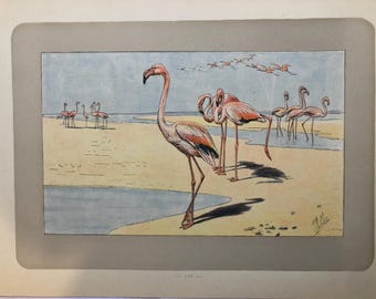 ヴィンテージフラミンゴウォールアート、A.T.トラン作、ターナーの