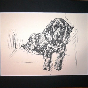 Vintage SPRINGER SPANIEL Mounted 1936 &#39;Mac&#39; Lucy Dawson spaniel dog plate print Unique Christmas  Birthday Thanksgiving dog gift
