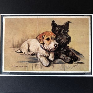 VALENTINE TAILWAGGER vintage Lucy Dawson Mac carte postale Sealyham Scottish Scottie Terrier Unique Christmas Birthday Thanksgiving No.1993