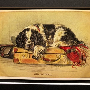 VALENTINE TAILWAGGER Vintage Lucy Dawson Mac cartão postal Springer spaniel cachorro exclusivo Natal Aniversário Ação de Graças No.1035