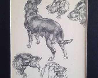 1937 RED SETTER Hund Vintage montierter Vere Temple Hundeplattendruck Einzigartiges Weihnachts-Dankes-Geburtstags-Hundeliebhabergeschenk