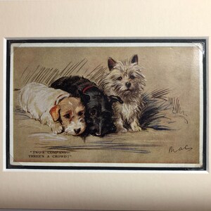 Photo de carte postale vintage Lucy Dawson Mac de la Saint-Valentin, Sealyham Scottish CAIRN Terrier Unique Noël anniversaire Thanksgiving no 1992