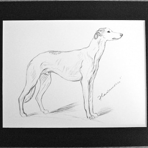 GREYHOUND DOG Vintage Mounted 1937 &#39;Mac&#39; Lucy Dawson Flaxman greyhound standing dog plate print Christmas, Birthday, Thanksgiving present