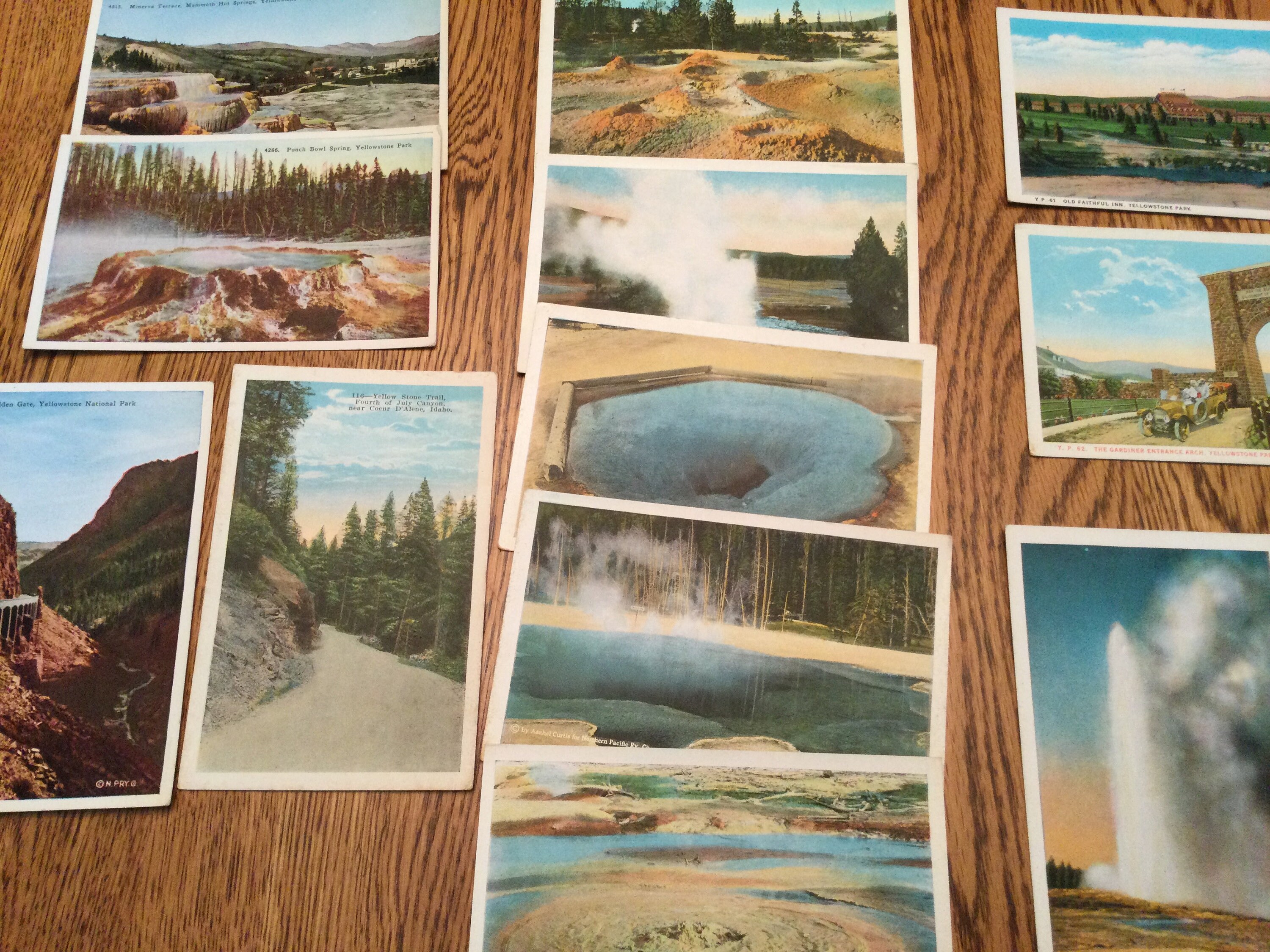 13 Antique Yellowstone Park Postcards 1920s Etsy