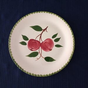 Blue Ridge Pottery Quaker Apple Hand Painted Dinner Plate (1953 Promotion)