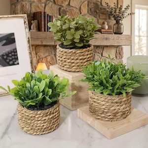 May include: Three small artificial green plants potted in round containers wrapped in thick, light brown woven rope. The plants feature dense, rounded leaves and are displayed on light-colored wooden blocks of varying heights on a white surface.