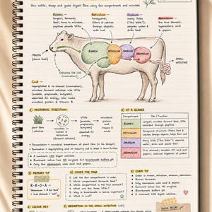 Year 11 Agricultural Science ATAR Study Notes: 18 Hand-Drawn Pages, Printable PDF