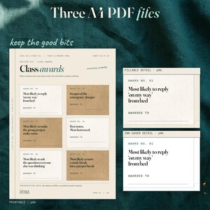 Printable class awards page beside matching close views from the fillable and ink-saver editions. The ink-saver card is outlined on white. Labels identify each edition and page.