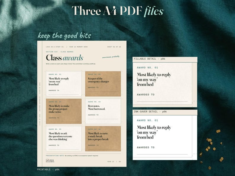 Printable class awards page beside matching close views from the fillable and ink-saver editions. The ink-saver card is outlined on white. Labels identify each edition and page.