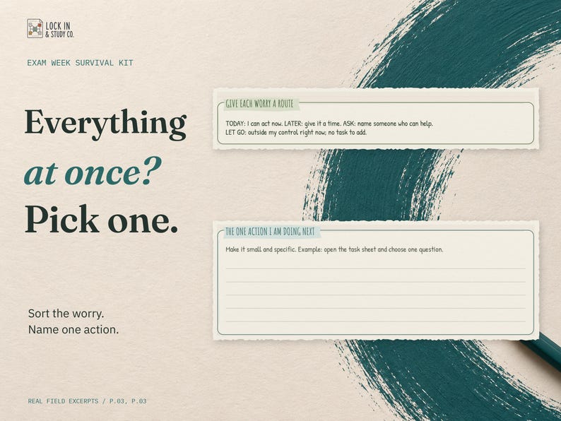 Everything at once? Pick one. Enlarged real fields from the Panic to Plan page: Give Each Worry a Route (today, later, ask or let go) and The One Action I Am Doing Next.