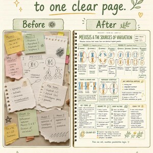 WA Year 12 Biology ATAR Study Notes, Units 3–4 Printable PDF