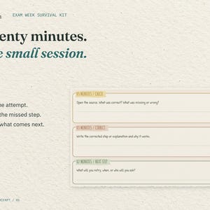 Twenty minutes. One small session. An enlarged excerpt from the real 20-Minute Rescue page: the Check, Correct and Next Step fields.