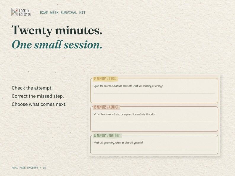 Twenty minutes. One small session. An enlarged excerpt from the real 20-Minute Rescue page: the Check, Correct and Next Step fields.