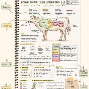 Year 11 Agricultural Science ATAR Study Notes: 18 Hand-Drawn Pages, Printable PDF