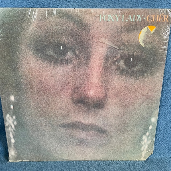 SEALED Vintage, Cher "Foxy Lady" Vinyl LP Record Album, Original 1972 First Press, Living In A House Divided, Don't Hide Your Love, Pop Rock