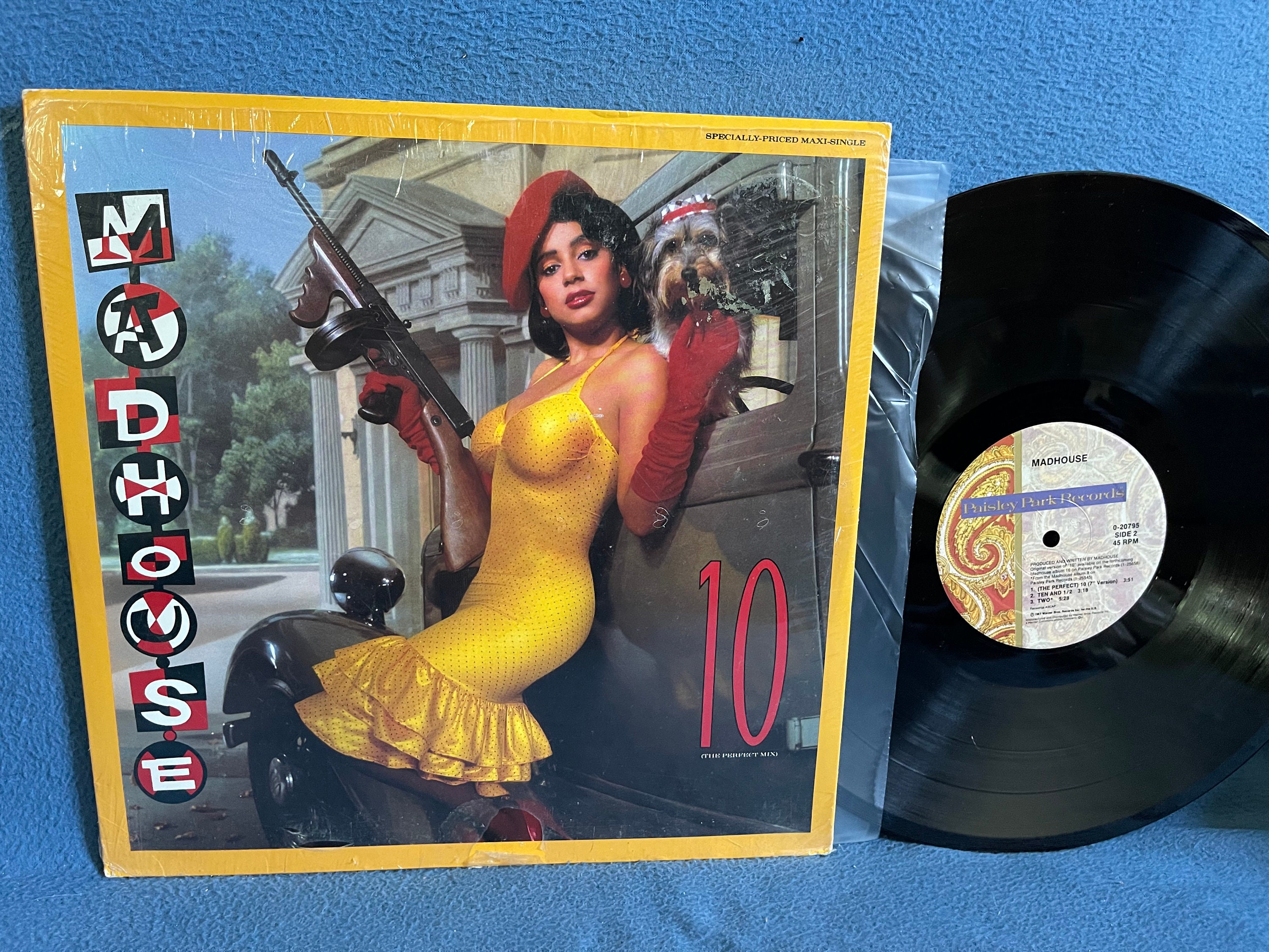 RARE Vintage Madhouse  Vinyl LP Record   Etsy