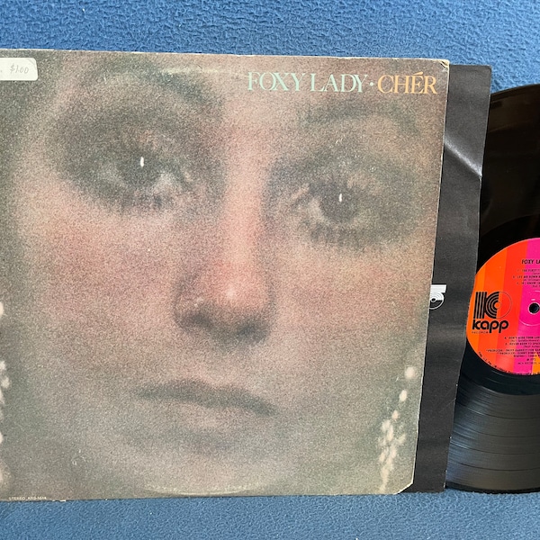 Vintage, Cher "Foxy Lady" Vinyl LP Record Album, Original 1972 First Press, Living In A House Divided, Don't Hide Your Love, Pop Rock