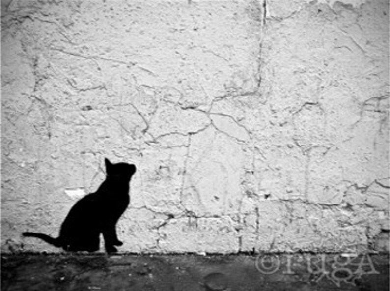 two photo prints; set - Travel Photography Urban Street Art: Paris France Umbrella Cat Graffiti Banksy style Black White Red Stencil