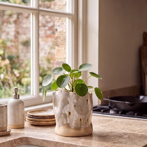 May include: A Pilea peperomioides plant with round, dark green leaves potted in a textured, off-white ceramic vessel. The container features an irregular, wavy rim and a smooth, unglazed base, showcasing a glossy, mottled glaze finish.
