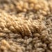 Fibernest Ventures