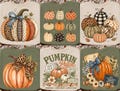 Fall Pumpkin PNG Bundle, Autumn Sublimation Designs, Coquette Bow Leopard Plaid Pumpkin Shirt, Thanksgiving Png, Pumpkin Spice png