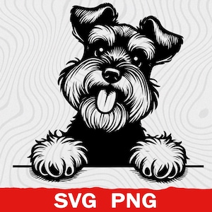 Peut inclure: Une illustration graphique en noir et blanc d'un chien Schnauzer avec ses pattes avant posées sur une ligne horizontale. Le chien a un visage hirsute, des oreilles pointues et sa langue est visible. Le texte SVG PNG est imprimé en bas.