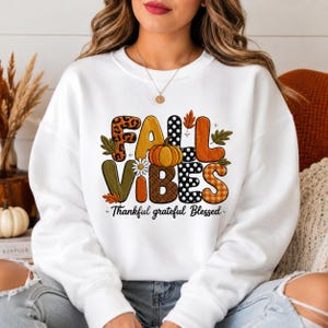 Embroidered Fall Vibes Shirt Sweatshirt, Cozy Autumn Hoodie, Cute Pumpkin Season Tee, Unisex Thanksgiving Gift