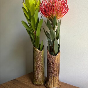 May include: Two tall, cylindrical ceramic vases with textured, earthy brown and green glazes. One vase holds a green leucadendron, while the other contains a vibrant red pincushion protea flower with long, thin, needle-like petals and green leaves.
