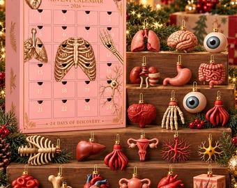 Anatomy Advent Calendar 2026, 24 Anatomical Ornaments, Human Body Science Christmas Decor, Gift for Medical Students