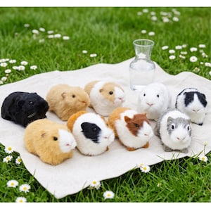 Op de afbeelding: Een verzameling van negen pluche cavia-speeltjes in diverse kleuren, waaronder effen zwart, beige, wit en meerkleurige patronen van zwart, wit en bruin. De kleine knuffeldieren zijn gerangschikt op een wit doek naast een glazen karaf.