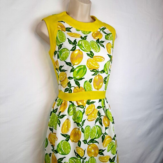 Vintage 70s Lemon & Lime Maxi Dress