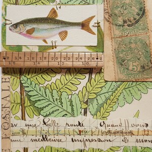 Cartão mini-arte COLAGEM DO ARTISTA: PEIXE. item de colecionador incorporando elementos antigos e vintage