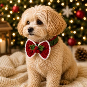 Può includere: Un cane color marrone chiaro indossa un collare all'uncinetto con un grande fiocco rosso bordato di bianco, decorato con foglie di agrifoglio verdi e bacche rosse. La fascia del collare è verde scuro. Il cane ha un pelo morbido e ondulato.