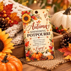 Etichetta regalo stampabile per potpourri autunnale da preparare sul fornello, etichetta per ricetta di potpourri autunnale da preparare sul fornello, etichette regalo con spezie di zucca, 2x3,5 pollici