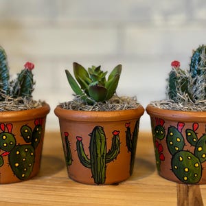 May include: Three terracotta pots with hand-painted cactus designs. The pots are filled with green succulents and moss. The pots are on a wooden surface.