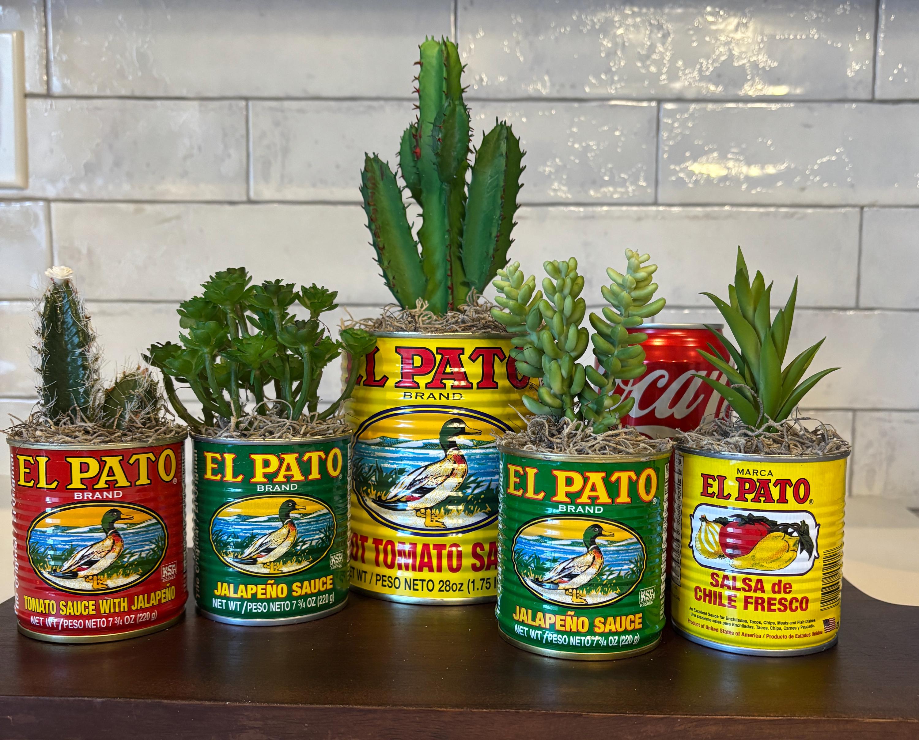 Succulent, Faux Cactus in El Pato Sauce Can: Mexican Food Party Centerpiece  - Etsy