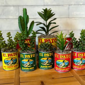 May include: Six small potted plants in recycled El Pato brand salsa cans. The plants are succulents and cacti. The cans are yellow and red with green and white labels. The labels have the brand name, product name, and net weight. The cans are sitting on a wooden surface.